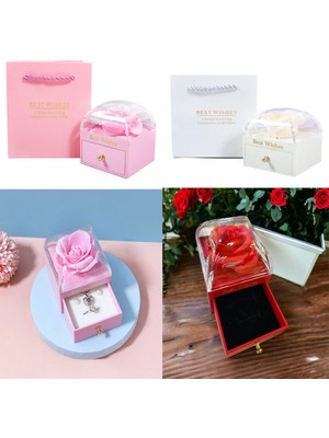 Tiklad Sonsuzluk Gül Tasarımlı Takı Kutusu TİKLAD-6487I