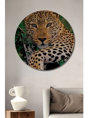 Leopar Desenli Gerçekçi Yağlı Boya Görünümlü Ahşap Dekoratif Tablo Yuvarlak Duvar Tablosu