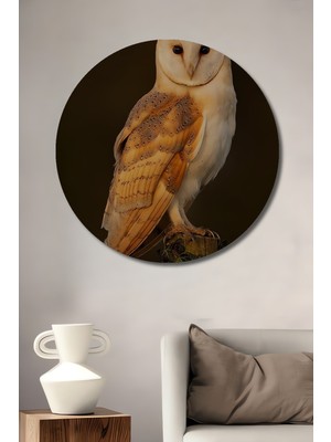 Büyüleyici Beyaz Baykuş Ahşap Dekoratif Tablo Yuvarlak Duvar Tablosu