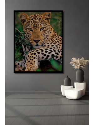 Leopar Desenli Gerçekçi Yağlı Boya Görünümlü Ahşap Ev,antre,ofis,mutfak Tablo Çerçeve Görünümlü