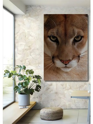 Aslan Gözleri Yağlı Boya Görünümlü Ahşap Dekoratif Ev,antre,salon,ofis,mutfak,yatak Odası Tablo