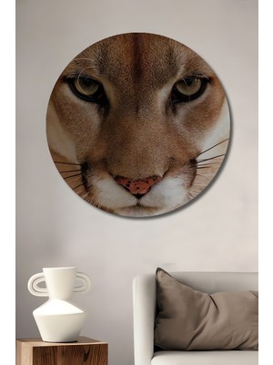 Aslan Gözleri Yağlı Boya Görünümlü Ahşap Dekoratif Tablo Yuvarlak Duvar Tablosu