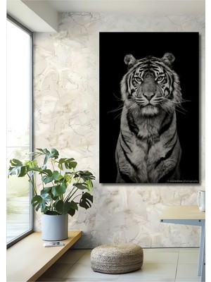 Aslan Pençesi Siyah Beyaz Sanat Ahşap Dekoratif Ev,antre,salon,ofis,mutfak,yatak Odası Tablo