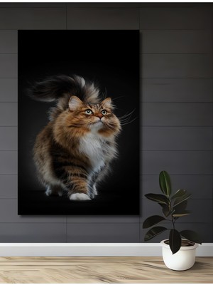 Muhteşem Tüy Dökümü Sanatlı Kedi Yağlı Boya Görünümlü Ahşap Dekoratif Ev,antre,salon,ofis Tablo