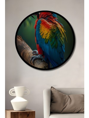 Canlı Renkler Tropikal Papağan Ahşap Dekoratif Tablo Yuvarlak Duvar Tablosu Çerçeve Görünümlü