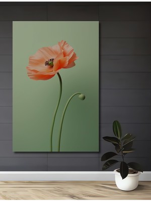 Şeftali Tonlarında Mekansal Vurgu Ipek Görünümlü Ahşap Ev,antre,salon,ofis,mutfak,yatak Odası Tablo