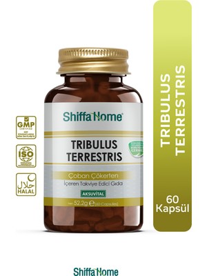 Shiffa Home Tribulus Terrestris Çoban Çökerten 60 Kapsül