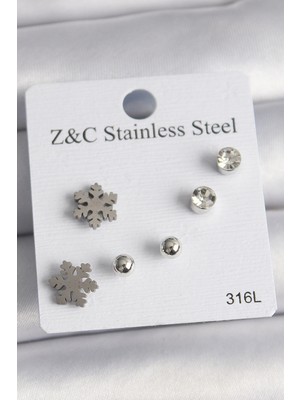 Calperia 316L Çelik Gümüş Renk Zirkon Taşlı Kar Tanesi Model Kadın Küpe Seti