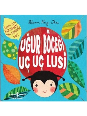 TeknoKapsül Uğur Böceği Uç Uç Lusi