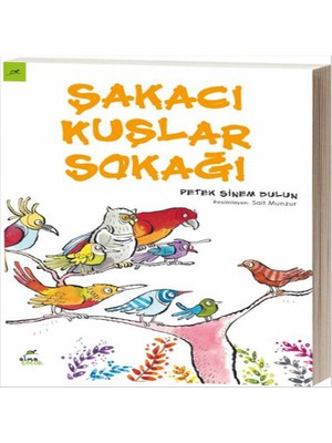 TeknoKapsül Şakacı Kuşlar Sokağı