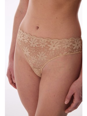 Penti Bej Lace Dantel Slip Külot