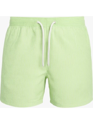 Dofi Erkek 1867 Çizgili Gofre Deniz Şortu – Cepli, Fileli, Lastikli ve Kordonlu Bel