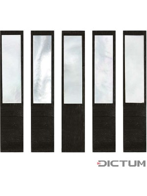 Dicktum Keman/viyola Arşe Sürgüsü, Beyaz Sedef, Abanoz Yataklı