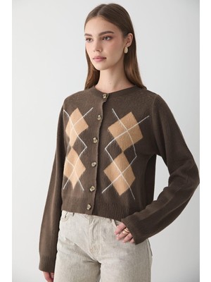 Jaste Kadın Argyle Desenli Düğmeli Triko Kazak VİZON