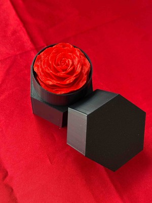 Sfenks. Altıgen Siyah Takı Kutusu – Şık & Minimal Tasarım – Kolye Bileklik Yüzük Saklama Kutusu