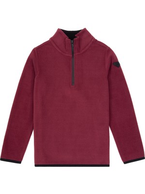 U.s. Polo Assn. Erkek Çocuk Plum Sweatshirt 50313841-VR177