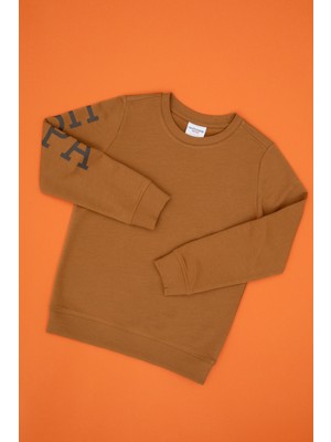 U.s. Polo Assn. Erkek Çocuk Sweatshirt 50313831-VR233