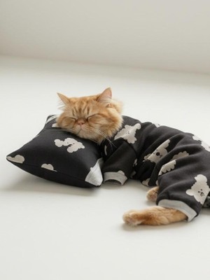 Kemique Doggy Doo Kedi Uyku Seti | Penye Kedi Tulum ve Mini Yastık Takımı | Pamuklu | Tüy Dökülmesini Azaltır |