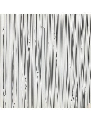 Teodora Organik Silinebilir Siyah Beyaz Antirasit Çizgili Duvar Kağıd