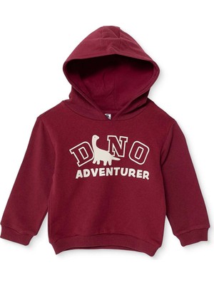 Hellobaby Hellobaby, Erkek, Kapüşonlu Sweatshirt, Dinozor Baskılı, Kapüşonlu, Uzun Kol