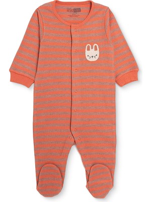 Hellobaby Hellobaby, Erkek, Patikli Tulum, Hayvan Baskılı, Fermuarlı, Bisiklet Yaka, Uzun, Uzun Kol