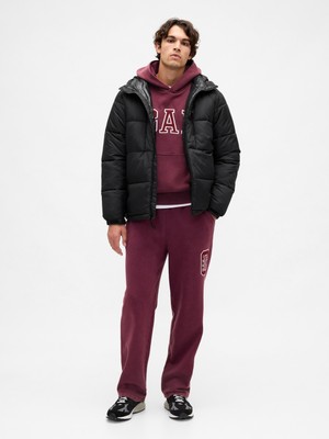 Gap Erkek Bordo Heavyweight Relaxed Logo Eşofman Altı