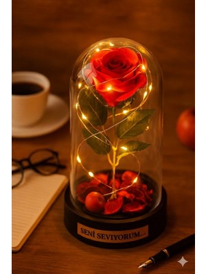 Deco Elit Sevgiliye Seni Seviyorum Temalı LED Işıklı Mika Fanus Kırmızı Yapma Solmayan Gül  Büyük Boy 22 cm