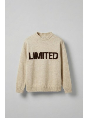 Abluka Online Erkek Oversize Limited Kabartma Baskılı Triko Kazak Taş Rengi