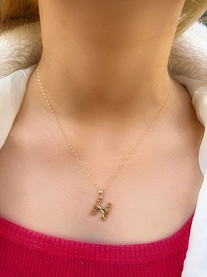 Uzundağ Kuyumculuk 14 Ayar Füzyon H Harfli Kolye