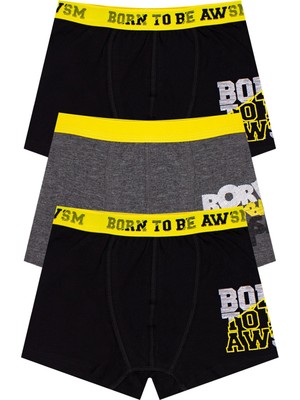 Öts Erkek Çocuk Boxer 3'lü Baskılı Lastikli Desenli Ürün (%96 Pamuk - %4 Elastan)