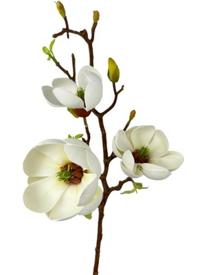 Nettenevime Yapay Çiçek Eva Beyaz Manolya 3 Çiçekli Uzun Dal 70CM Gerçeksi Doku