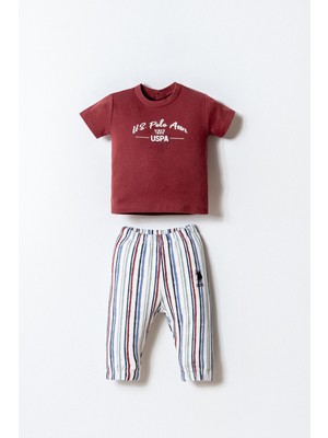 U.s. Polo Assn. Erkek Bebek Bordo Şort Takım