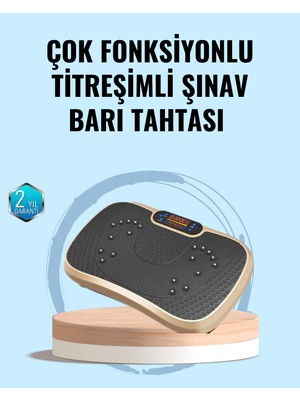 SHC4200 Evde Spor Için Titreşimli Plate Fitness Platformu