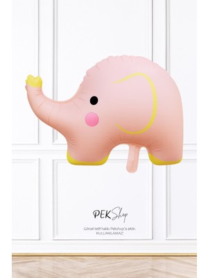 Pekshop Retro Fil Folyo Balon 9573