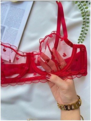 Rozenin Lingerie Yılbaşı Kırmızı Minik Kalp Desenli İç Çamaşır Takımı Balen Özellikli