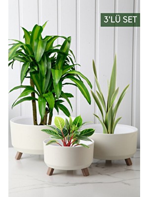 Nandy Home 3'lü Saksı Seti Modern Yuvarlak Şekil Beyaz Plastik Hafif ve Dayanıklı