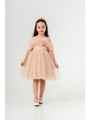 Eray Kids Kız Çocuk Gül Detaylı Tokalı Kabarık Doğum Günü Özel Gün Elbisesi
