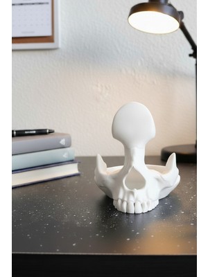 To Design Lab Kafatası Şeklinde Gözlük Standı - Düzenleyici