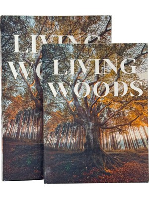 Lara Decor Living Woods Forest Kitap Kutu Seti