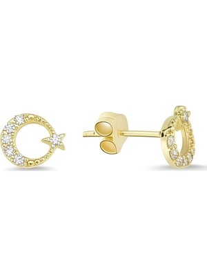 Zeya Kuyumculuk 14 Ayar Altın Taşlı Ay Yıldız Küpe