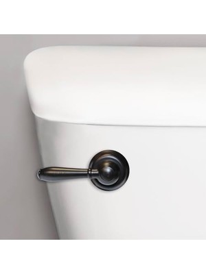 6081BP Strongarm Depo Kolu Evrensel Ön Açılı Yan Sol ve Sağ Montaj Tuvaletlerine Uyar, Yağla Pürüzsüzleştirilmiş Bronz, Musluk Stili