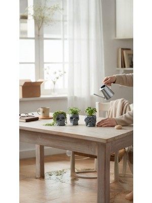 Bonjorno Aksesuar Kuru Kafa 3'lü Biblo Seti , Kalemlik Aksesuar Seti