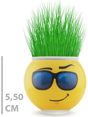 Çim Adam Saksı Emoji Figürlü 1 Adet SARVONA-T678U54