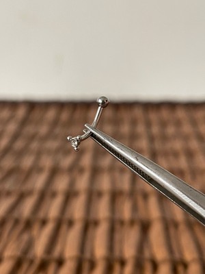 Aida Jewelss 316 L Cerrahi Çelik Taşlı Tasarım Çelik Kaş Daith Snug Rook Piercingi