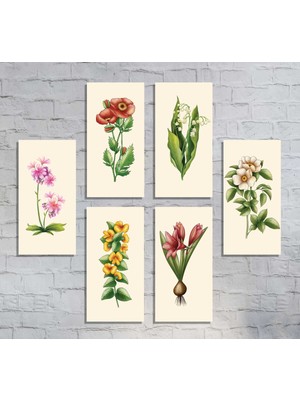 M&H Quality Doğal Tonlarda Vintage Çiçek Illüstrasyon Seti 6 Parça