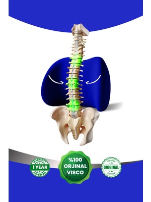 Viscomina Ortopedik Visco Bel Detek Minderi Ortopedik Visco Araç Minderi Lacivert Renk