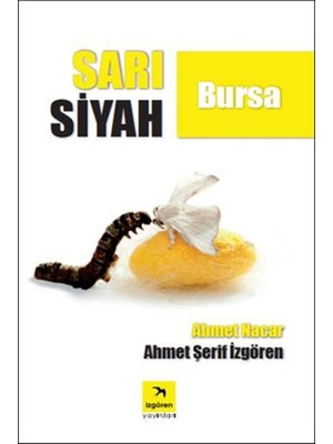 Sarı Siyah Bursa