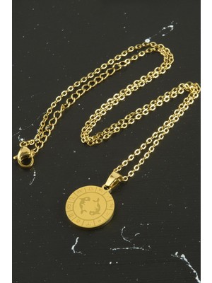 SHC4200 Balık Burcu Çelik Kolye