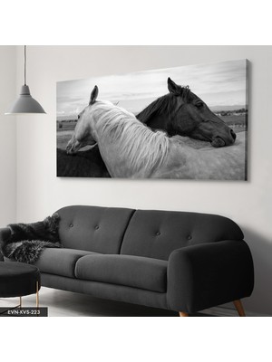 Evine Moda Siyah Beyaz At Tek Parça Kanvas Canvas Tablo Tablo