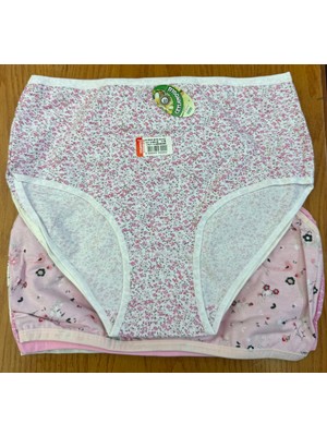 Ceylanoğlu 12 Li Paket Kadın Yüksek Bel Desenli Pamuk Likra Külot